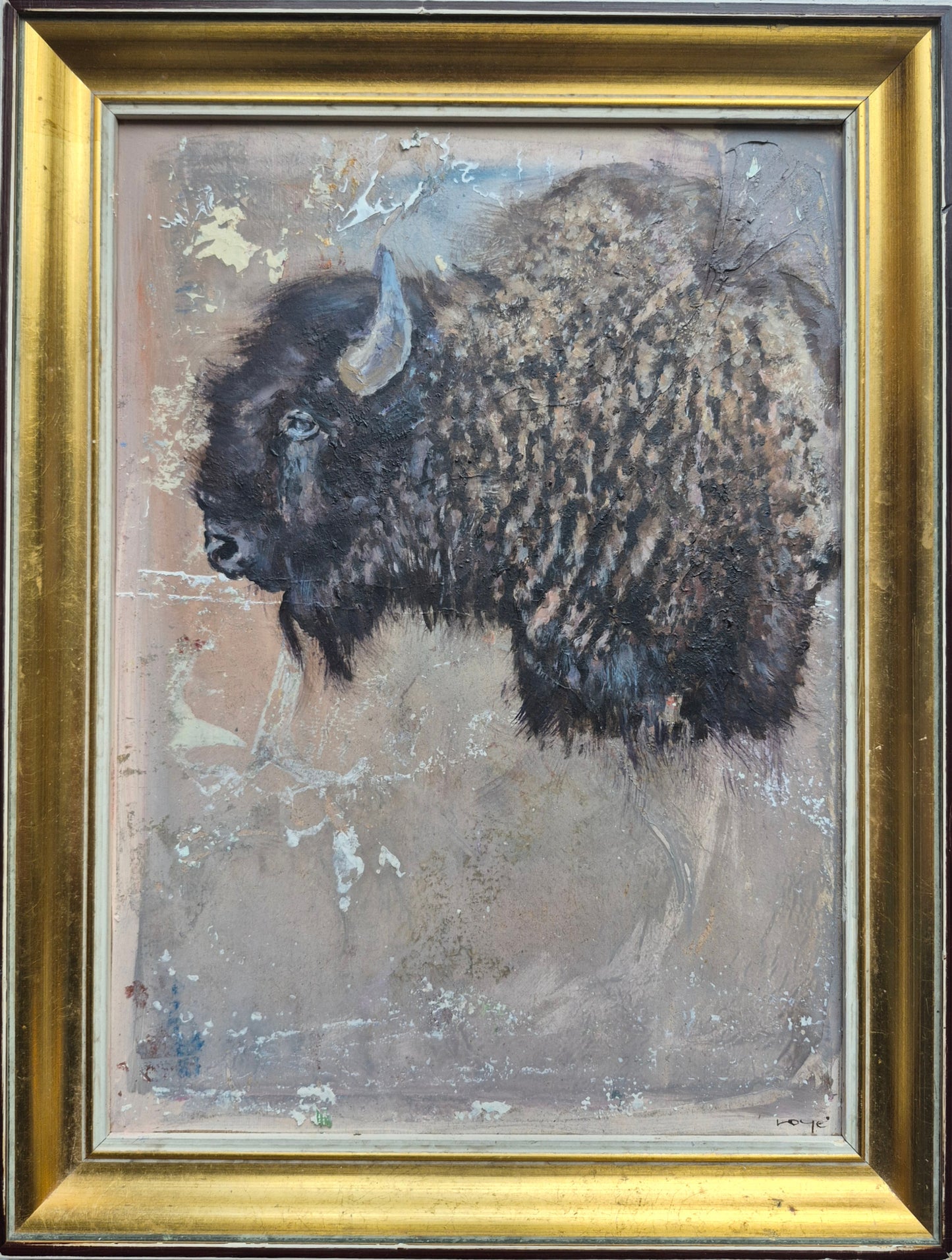 Bison