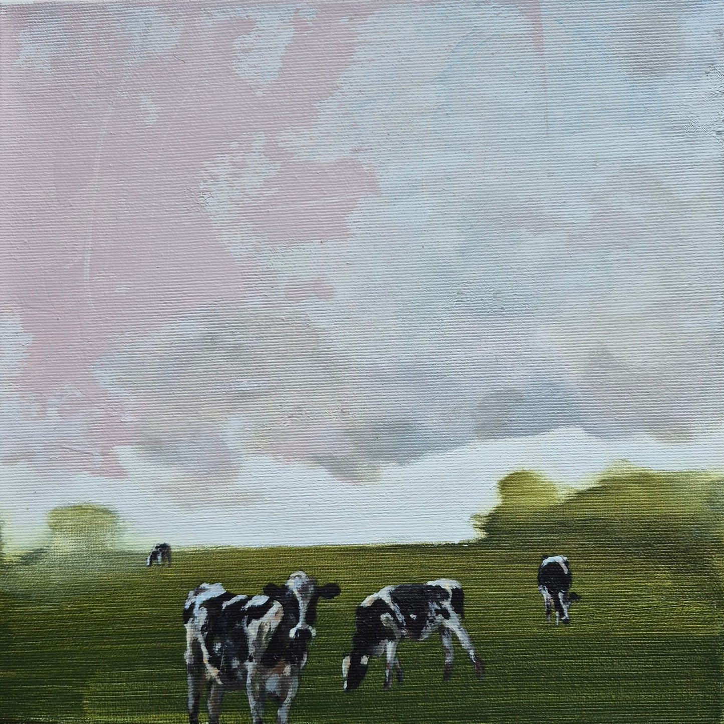 Auf der grünen Wiese