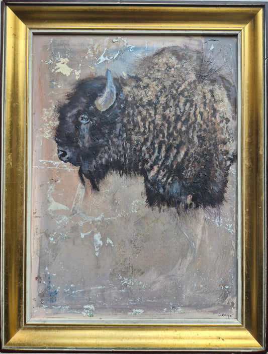 Bison
