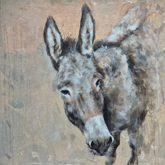 Donkey unmoved